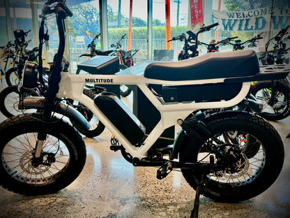 Multitude Dual Battery Cruiser